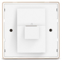 TP-LINK TL-AP302I-PoE(香槟金) 300M面板AP,POE供电金