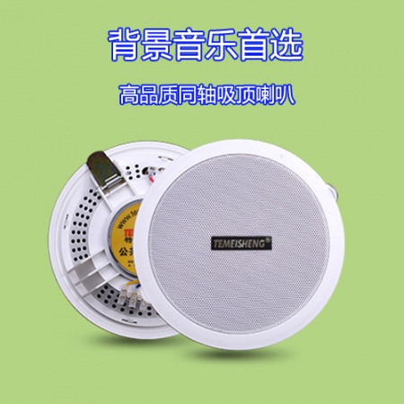 特美声DY-6 高品质同轴低音，吸顶喇叭　19CM（开孔17.5CM）