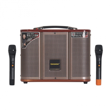 特美声GD06-39 120W 广场舞手提音响 6.5英寸（蓝牙+USB+TF+无线话筒*2）