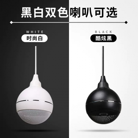 斯托曼STM-213 吊球音箱 12W