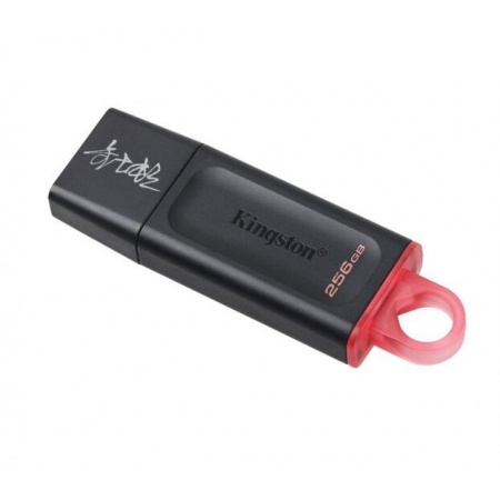 金士顿 DTX 256G USB3.2 Gen 1高速U盘